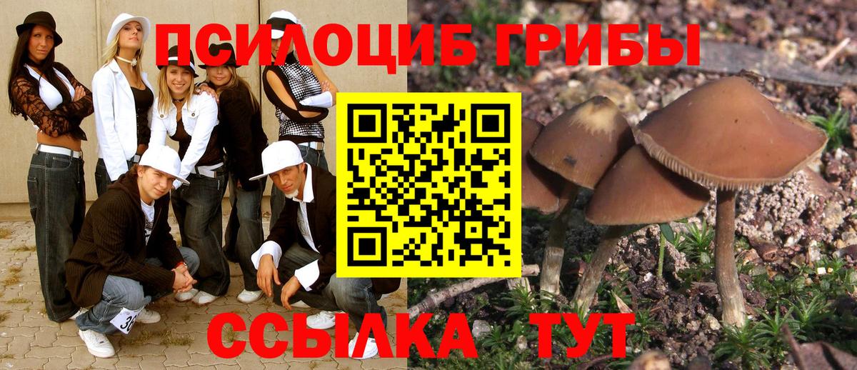 как найти   Вход с VPN  Коряжма  Псилоцибиновые грибы ЛСД  Галлюциногенные грибы GOLDEN TEACHER 