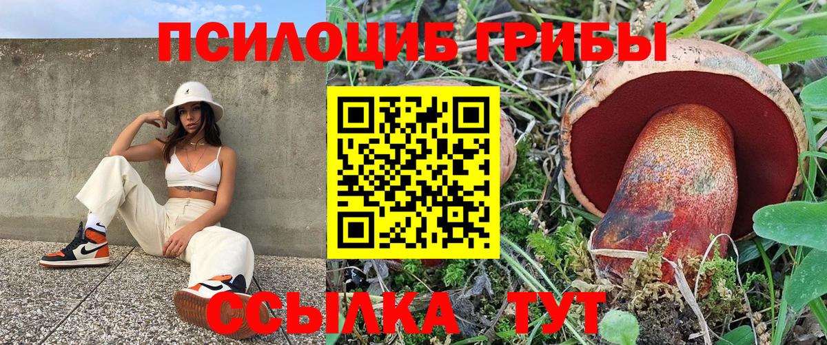 Галлюциногенные грибы MAGIC MUSHROOMS Коряжма